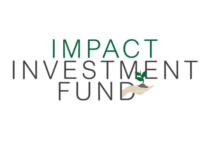 Read more about the article EcoForce Impact Investment Funds