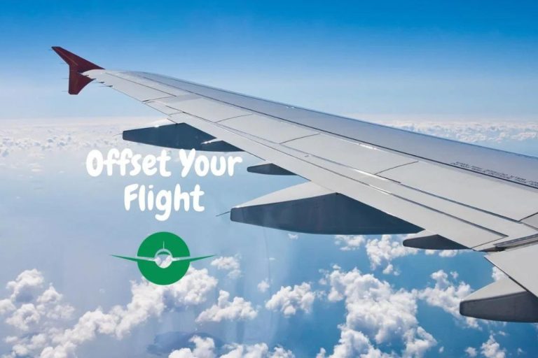 Read more about the article Offset Your Flight